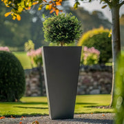 A standing planter bringing nature indoors.